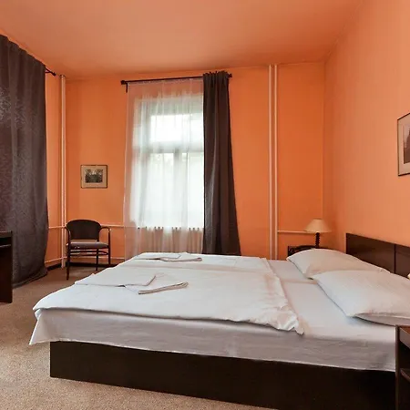 Hotell Branik 3*