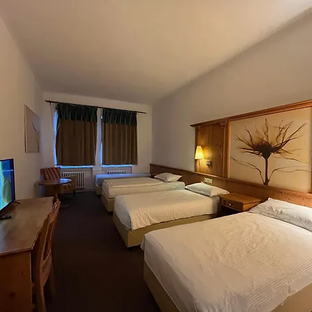 Hotel Branik