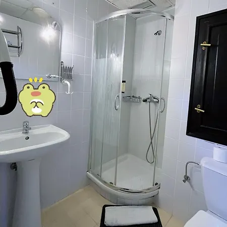 Hotel Branik 4*