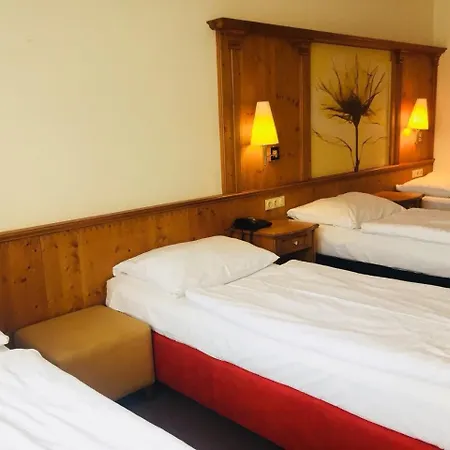 Hotell Branik 3*