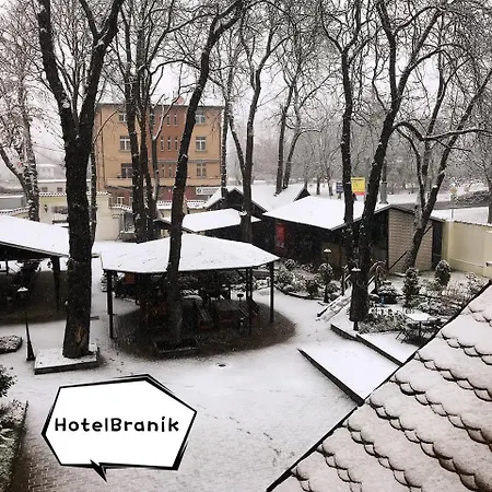 Hotell Branik 3*