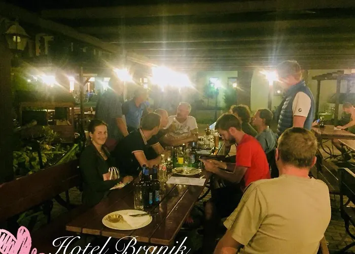 Hotel Branik