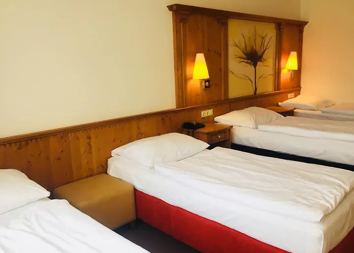 Hotel Branik 3*