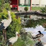 布拉尼克酒店 3*