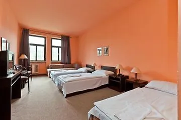 Hotel Branik 3*