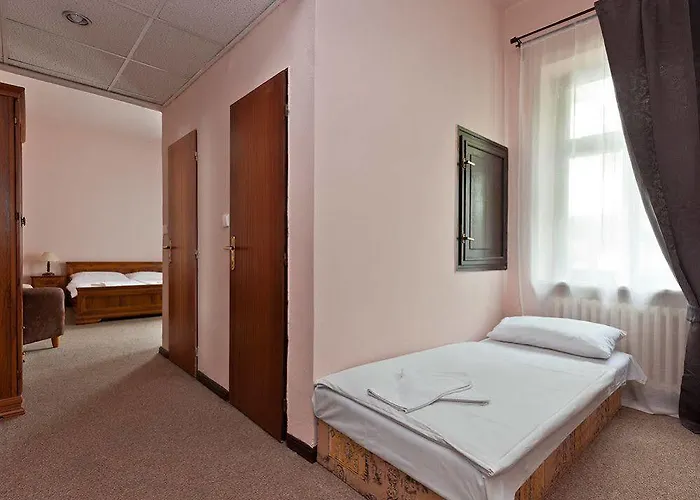 Hotel Branik 3*